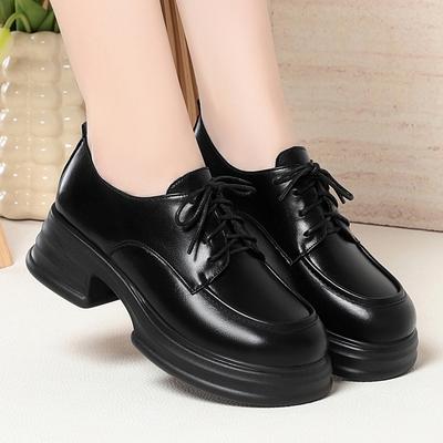 British Loafers Women's New Spring Single Shoes Platform Work Shoes Thick Heel Lace-up Small Leather Shoes