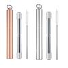 Avanti Telescopic Travel Straw