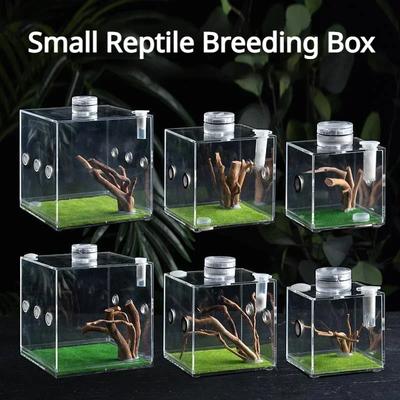 Genomskinlig akryl Små reptiler Djuruppfödningslåda Habitat Insektsmatning Terrariumtankbur Insektshoppande spindelfoderlådor
