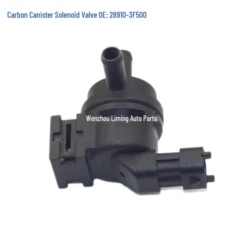 Carbon Canister Control Solenoid Valve for Hyundai/Kia (29010-02150 28910-3F500)