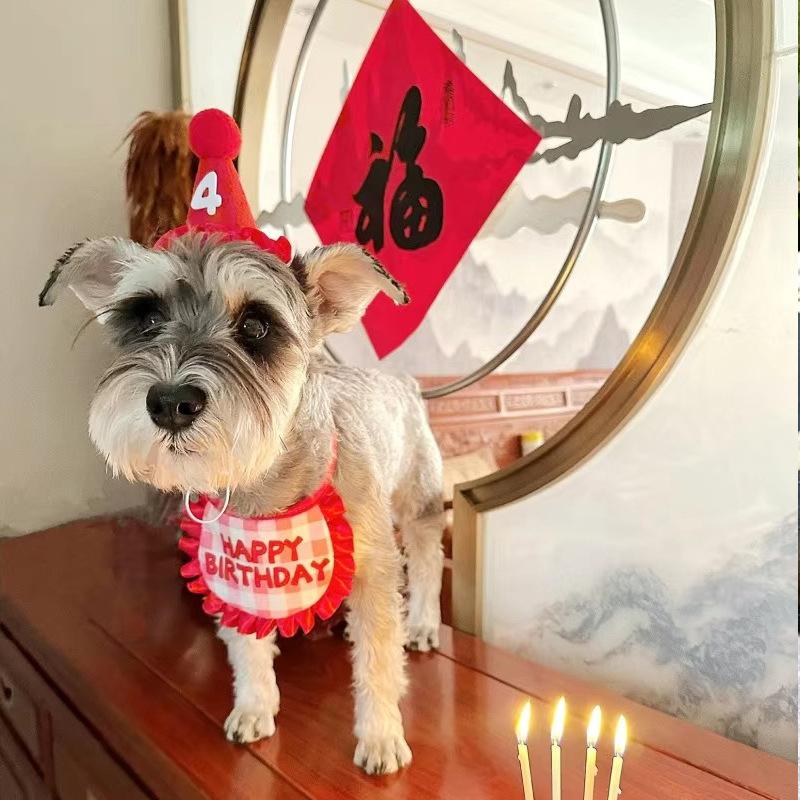 Dog Birthday Decoration Supplies Dog Supplies Pet Party Decoration Set Dog Birthday Hat Bow Tie