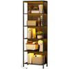 Bookshelf with 5 Levels, Standing Shelf with LED Lighting, 7 Light Colors, for Living Room, 60 x 30 x 179 cm Black
