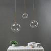 Nordic Clear Glass Pendant Lights Globe Gold Glass Ball Pendant Lamp Dining Room Kitchen Hanging Lamp Suspension Decor Fixtures