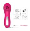 Little Dolphin Sucking Device: Magic Vibration Egg for Women's Self-Pleasure