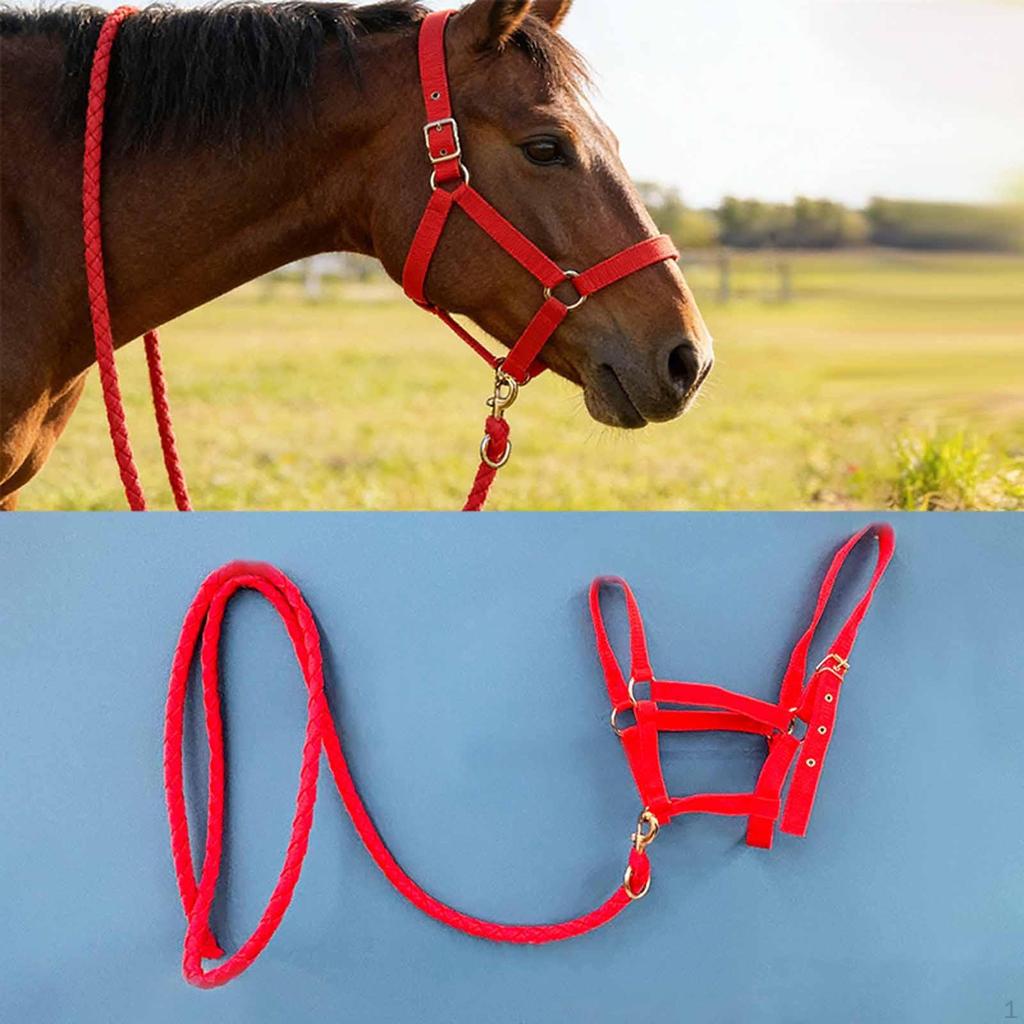 Halter Rope with Reins, Horse Harness, Bridle, Equestrian Equipment for Owners And Racetrack