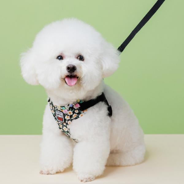 Owner Bag Dog Clothes Chest Strap Harness Set, Blue