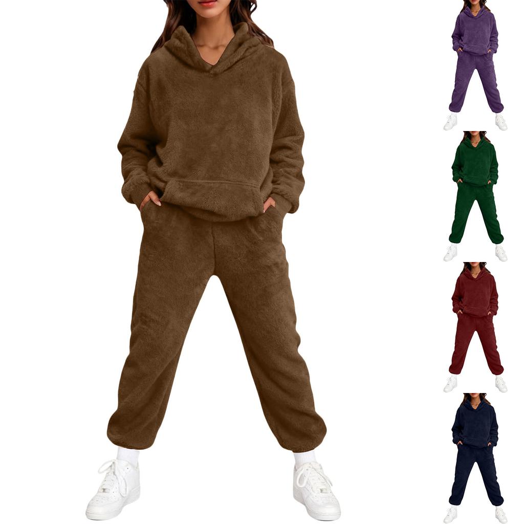 Women's Sweatshirt and Sweatpants Set Long Sleeve Elastic Waist Casual Fall Winter Wear