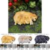 Micro Landscape Resin Labrador Retriever And Puppy Model Garden Decor With Animal Design For Gift Giving
