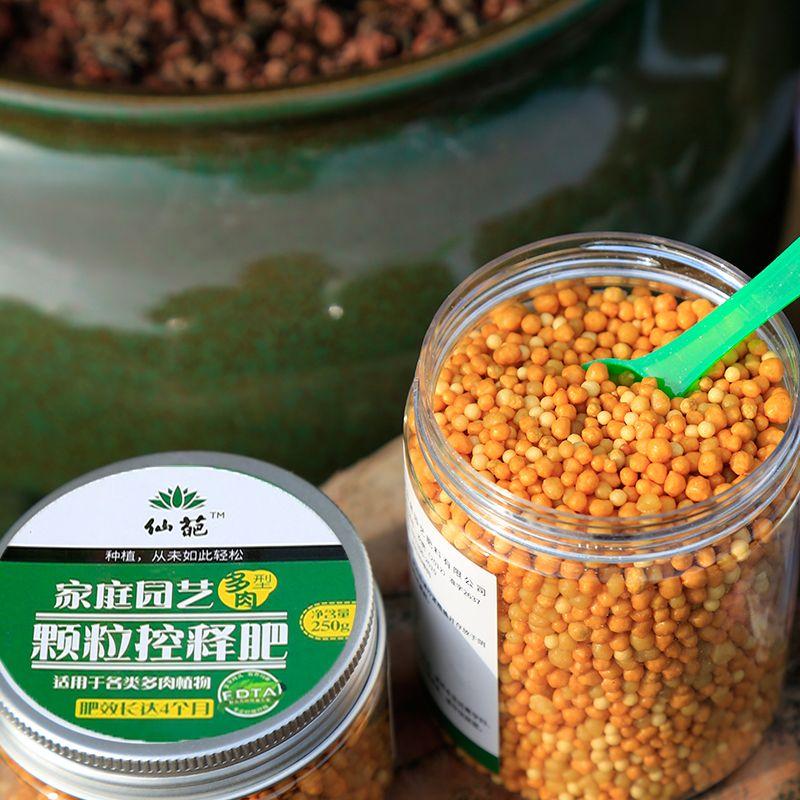 125/250g Gardon Květinové hnojivo s pomalým uvolňováním Bonsajové rostliny Květináče Sukulenty Komplexní hnojivo Univerzální hnojivo pro zeleninu