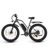 SPATIAL Parrot Bicicletta Elettrica da Donna All-Terrain Motore 250W Batteria 48V13AH Bicicletta Elettrica da Passeggio all'Aperto Bici Elettrica da Montagna Off-Road da 26 Pollici
