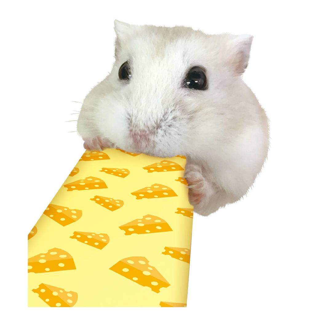 Minimal Land Ham Ham Puree, 5g x 6 sticks, Cheese Flavor [Set of 6] Puree-type snack