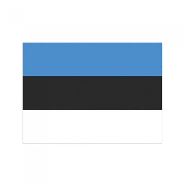 Printwear Estonia Flag