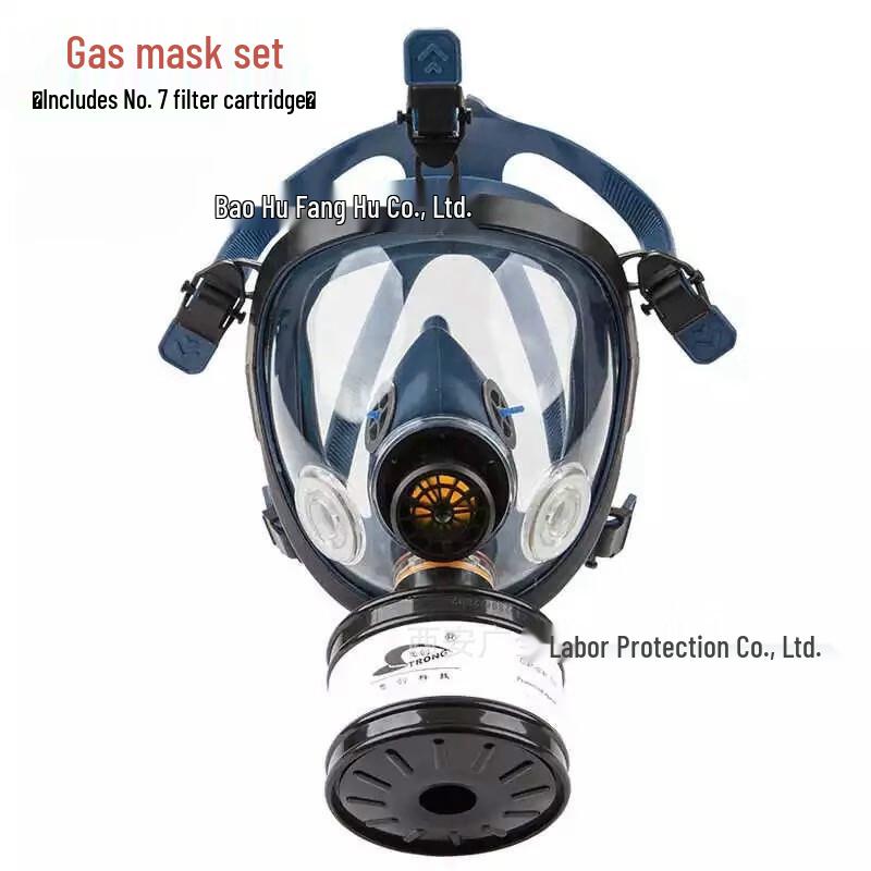 SANSHENG S100X-2 Full-Face Gas Mask Set Standard