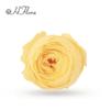 Birthday Valentine's Day Mother's Day Graduation Christmas Wedding New Year Thanksgiving Gift 20cm Tall Eternal Single Years