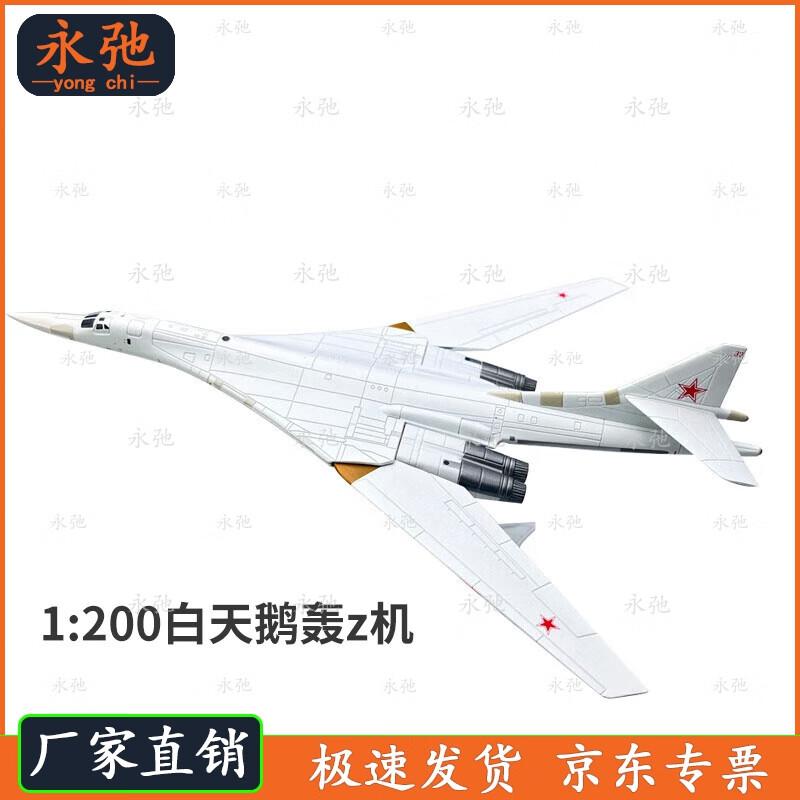 Yongchi 1:200 Soviet Tu-160  White Swan  Bomber Model