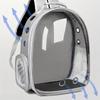 Cat Outing Bag Pet Extra Large Space Carrying Bag Cabin Aviation Box Cat Backpack Bag Side Opening