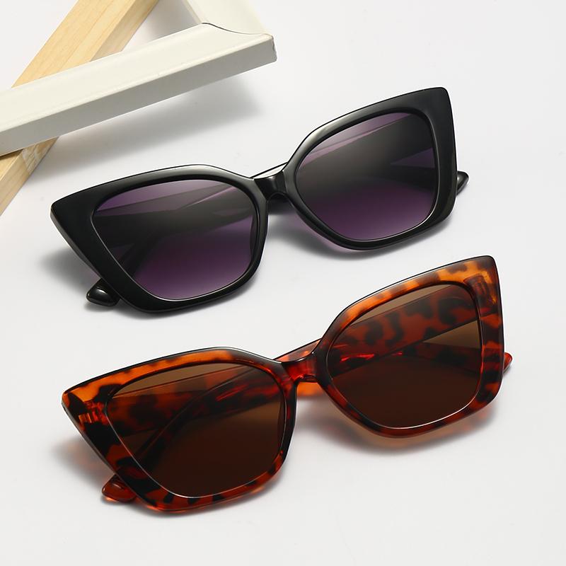 New Cat-Ear Frame Sunglasses Feature A Vintage And Modern Style With A Touch Of Bold And Edgy Flair For Women 5256