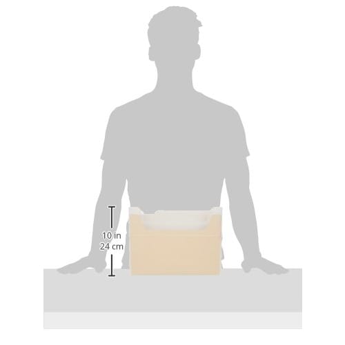 Nakabayashi File Box Document Storage Case Nagekomi BOX F6 6 Classification Fubo I-F6