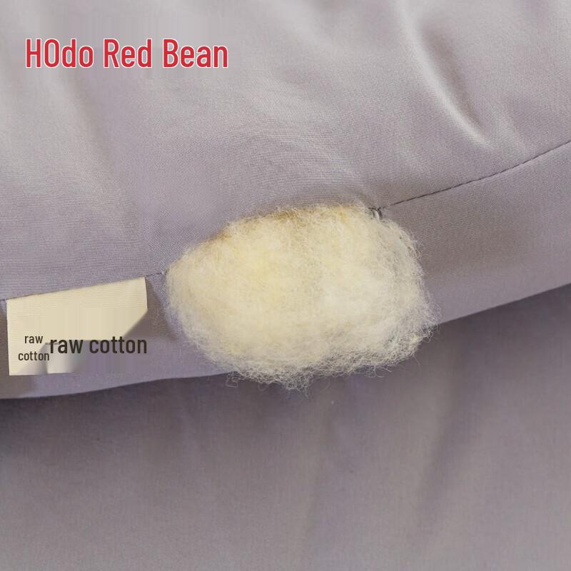 HOdoHome A-Class Soybean Fiber All-Season Quilt