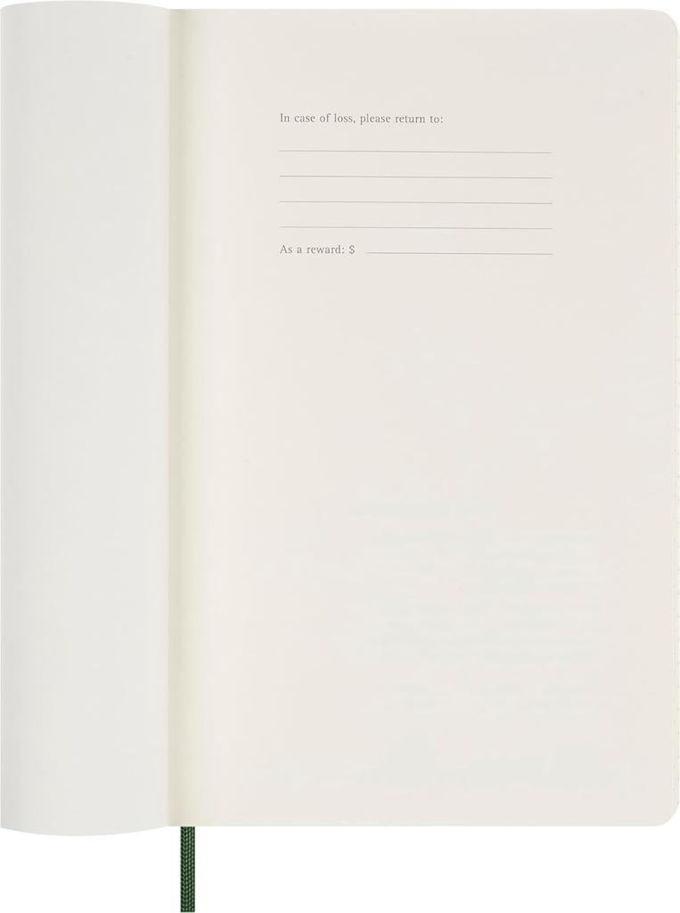 Moleskine Planner 2025 Starts in 1 Page per 12 Daily Large Size wide x 21cm Soft Myrtle DSK1512DC3Y25 January, Day, Months, Diary, (13cm long), Cover,