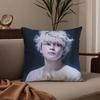 Japanese actor G-Gordon Maeda Pillow Case Anti-dustmite Pillowcase Invisible zipper silky short plush Sofa cushion cover