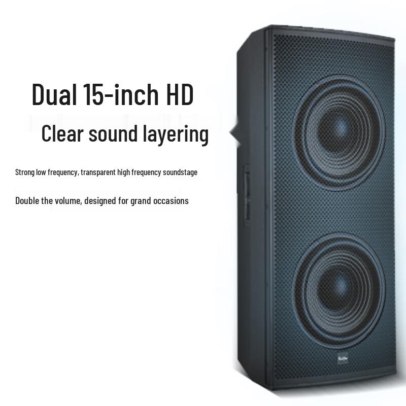 Runpu Professional Dual 15-inch Passive Conference Speaker (CN version)