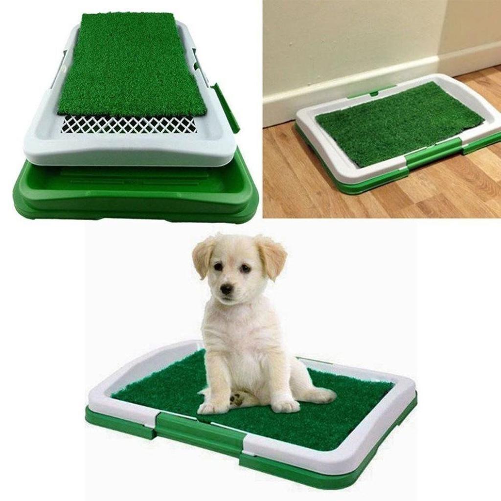 AP52 DOG LITTERS MAT WITH GRASS FOR PUPPIES