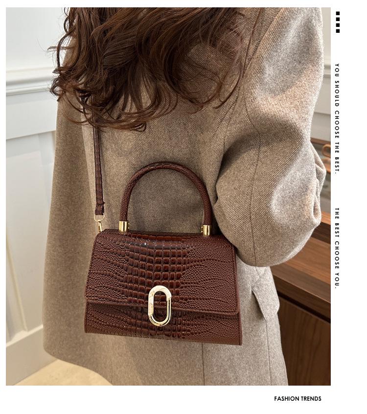 Women's 2024 Fashion Niche Textured Small Square Bag - Versatile Shoulder & Crossbody Handbag