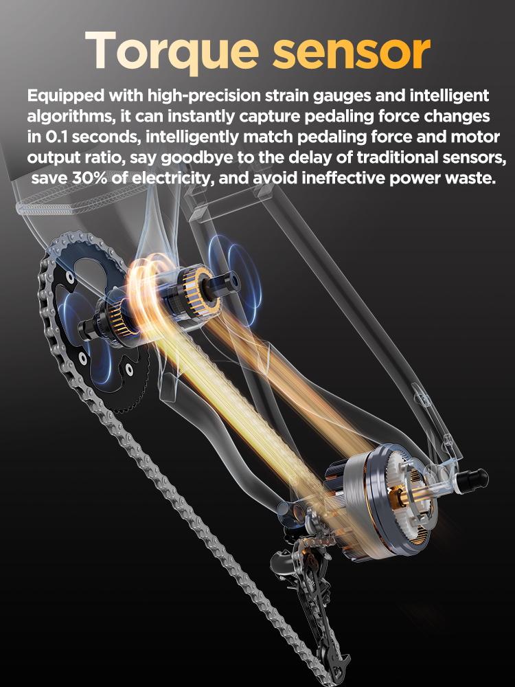 PULUMA PE86 Electric Bicycle 26*3.0 Fat Tire 48V20AH Battery 2000W Motor 50KM/H Torque Sensor Electric Bike Throttle Ebike VTT