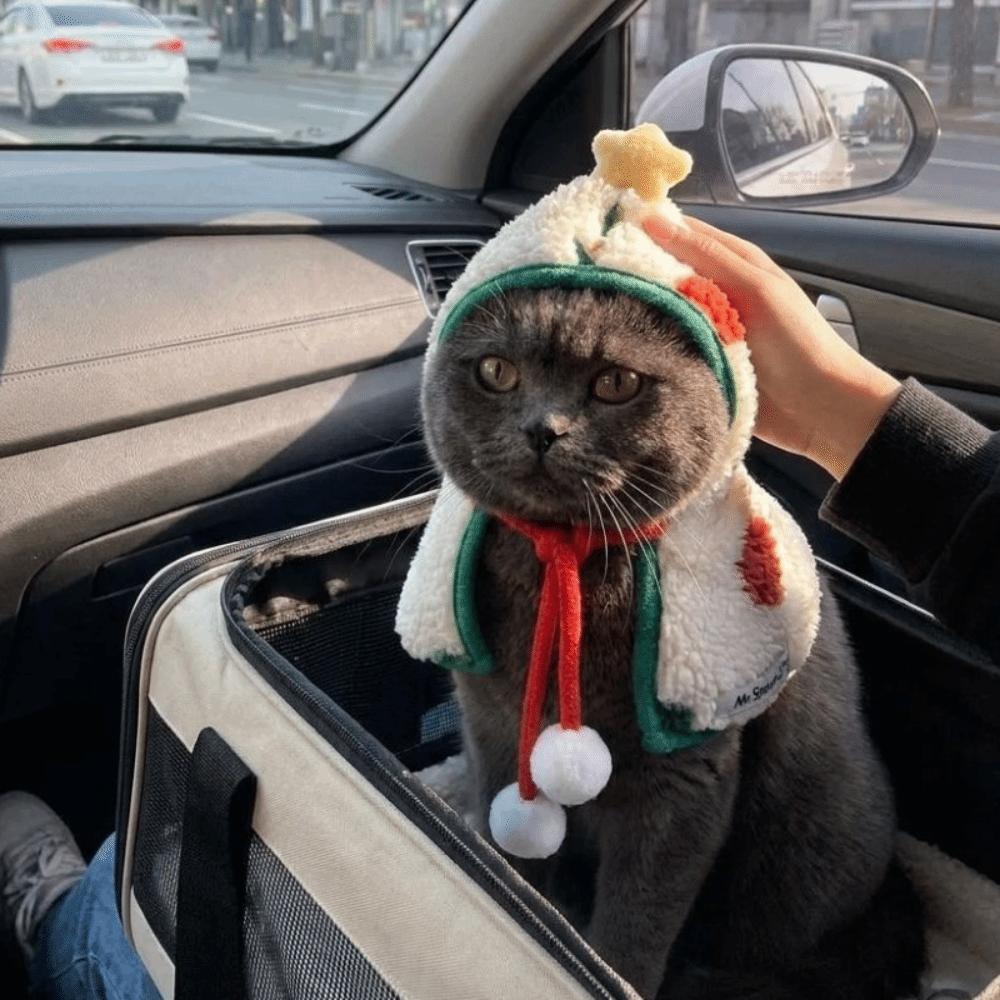 Warm Cat Cosplay Costume Thickened Pet Cloak Comfortable Dog Christmas Cape  Holiday Xmas