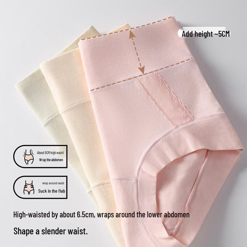 Tingmei Women's High-Waist Seamless Lace 3-Pack Briefs