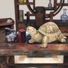Pure Brass Handmade Longevity Tortoise Home Feng Shui Ornament Gift Symbol of Peace