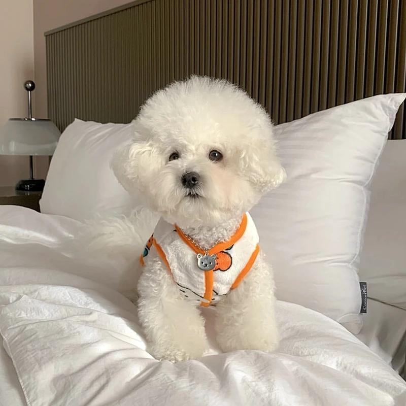 

Красивая жилетка с рисунком кролика для маленькой собаки, плюшевая одежда для собак, осенняя и зимняя одежда для шнауцеров, теплая рубашка с открытыми пуговицами XS