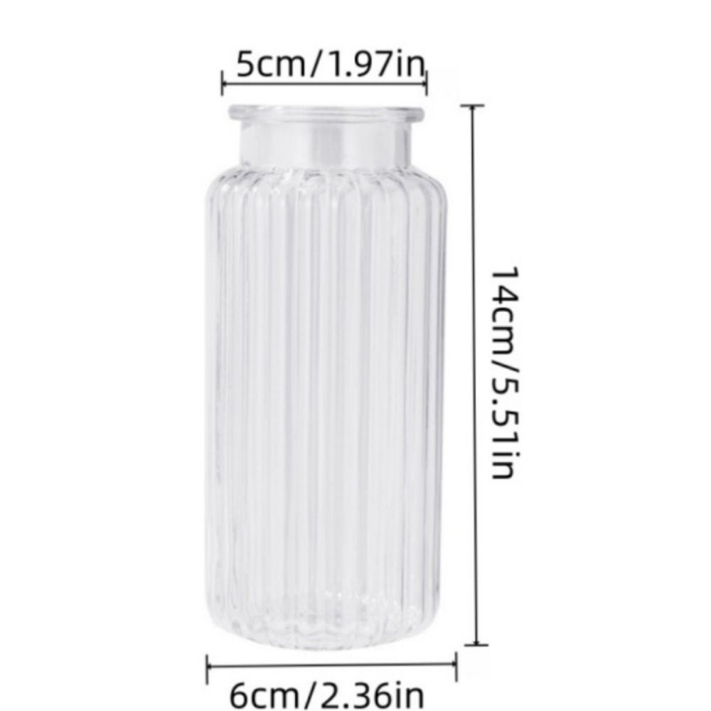 Nordic Style Clear Flower Vase Ribbed Design Cylinder Vases Modern Flower Arrangement Living Room