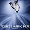 Best Figure Skating 2009-2010