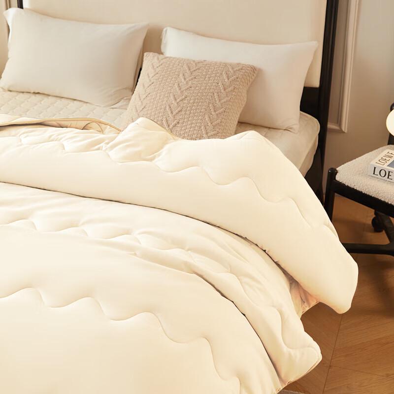 Royal Bedding Super Soft Washable Fiber Quilt