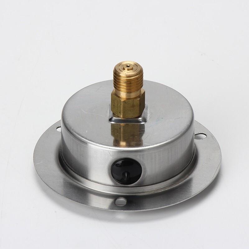 LANL YN60ZT Axial Shock-Resistant Pressure Gauge (CN Version)