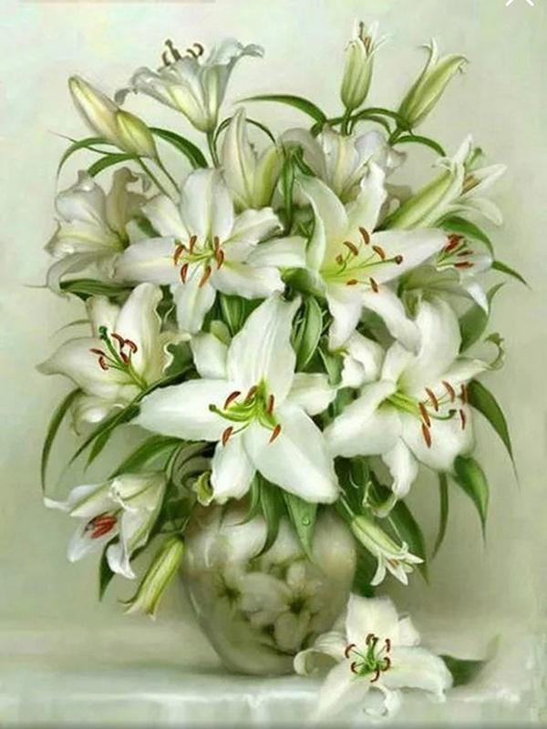 40x50cm Coloring By Number Elf Girl Cartoon Drawing On Canvas Hand Painted Decoration Picture Tiger DIY Christmas Gift