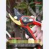 Delixi Garden Pruning Shears for Fruit Trees & Flowers