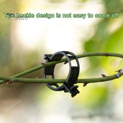 50/100Pcs Plant Clips Easy To Use Plastic Plant Support Clips Clear Tomato Clips Hollow Design Stem Support Clip for Vertical Gardening Climbing