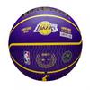 Wilson NBA Basketball