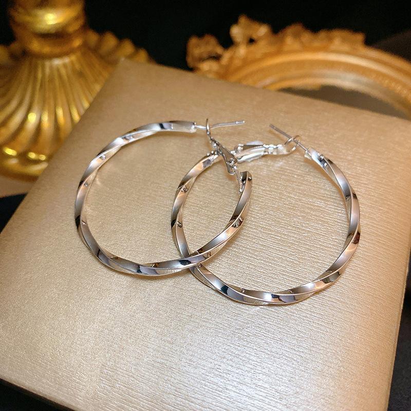 1Pair 925 Silver Needle Retro Metal Earrings Women's Premium Sense Geometric Plain Ring Ear Buckle Versatile Exaggerated Commuter Earrings