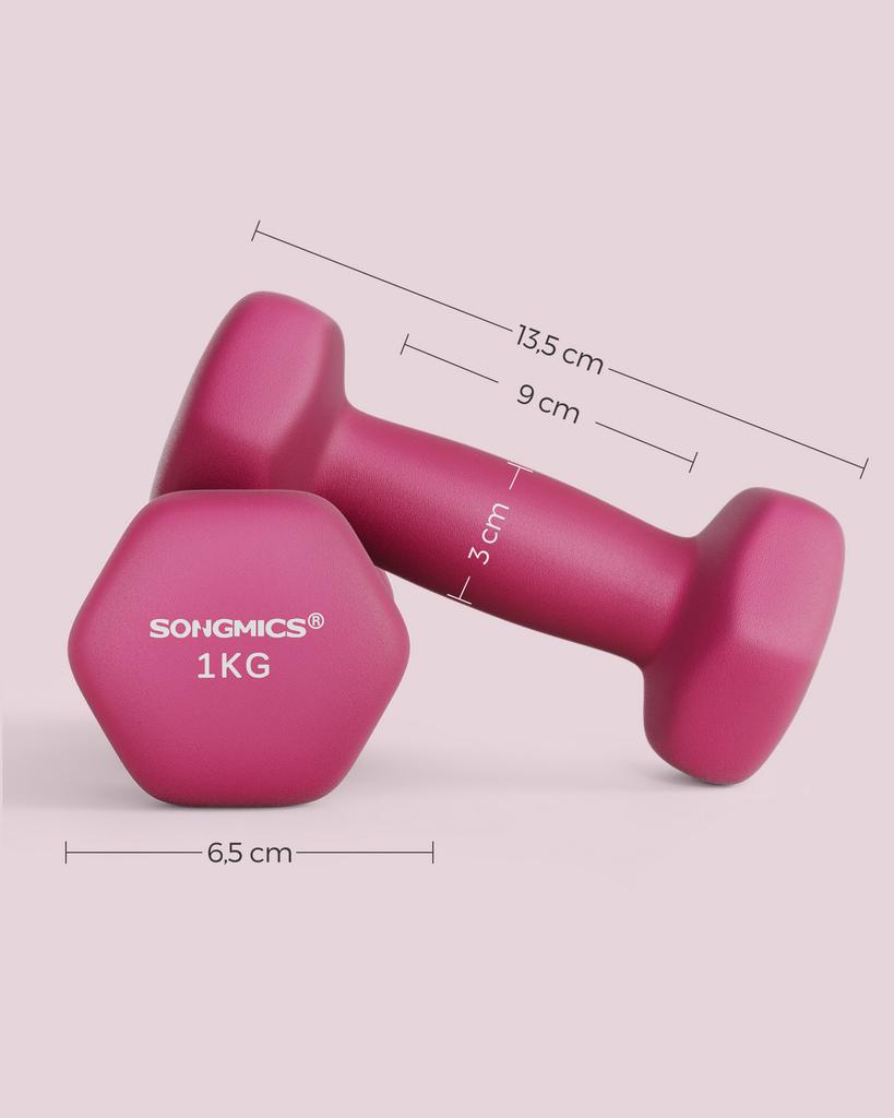 SONGMICS Hex Dumbbells Pair, 2 x 1 kg, Non-Slip PVC Coating