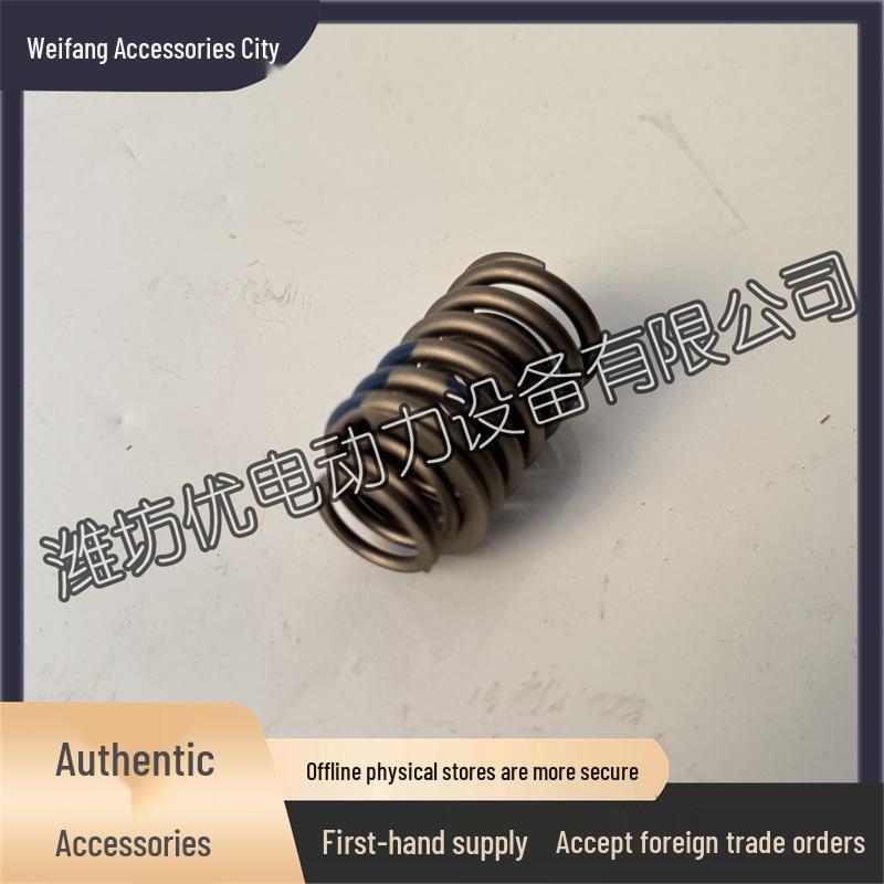 WP3.7 Valve Springs (Inner/Outer) for Diesel Engine WP4.1 4M10 Yangchai