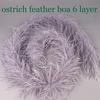 Fluffy Feather Trim For Clothes, Ostrich Feathers, Fluffy Boa, Shawl, Wedding Dress Decor, 2M Thick, 6 Layers