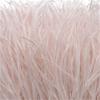 Feather1 Bundle Piume di Struzzo Naturali Filo Colorato 10-15/15-18CM Piumaggio Soffice Per Abiti Borsa Decorazione Artigianato Cucito