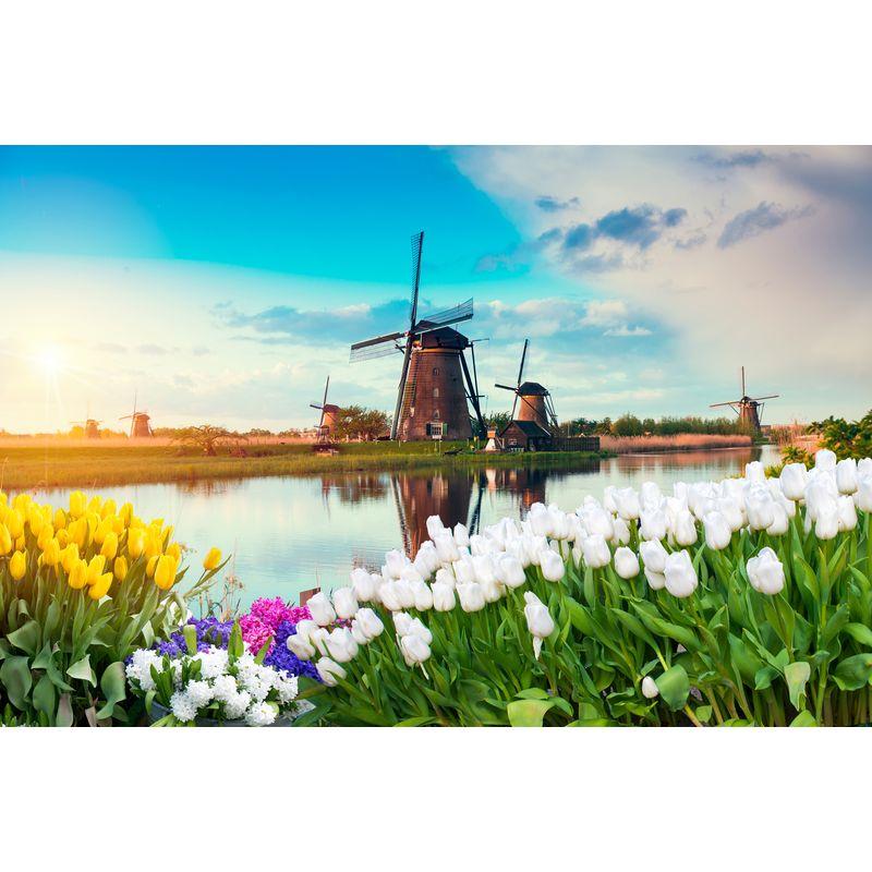 5D Colour Diamond Painting Full Drill Crystal Rhinestone Embroidery Crafts  Rainbow Gifts DIY Cultivate Patience 40x5