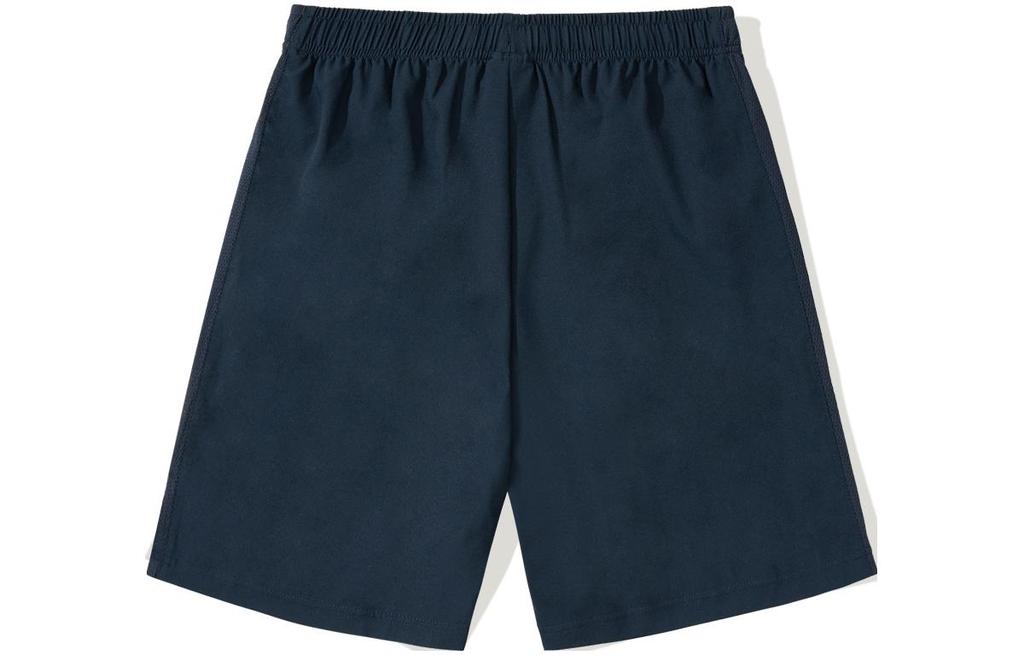 Li Ning Sports Life Collection Sports Shorts Men's AAPT563-2