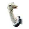 Ostrich Stage Puppet by Folkmanis - 2872