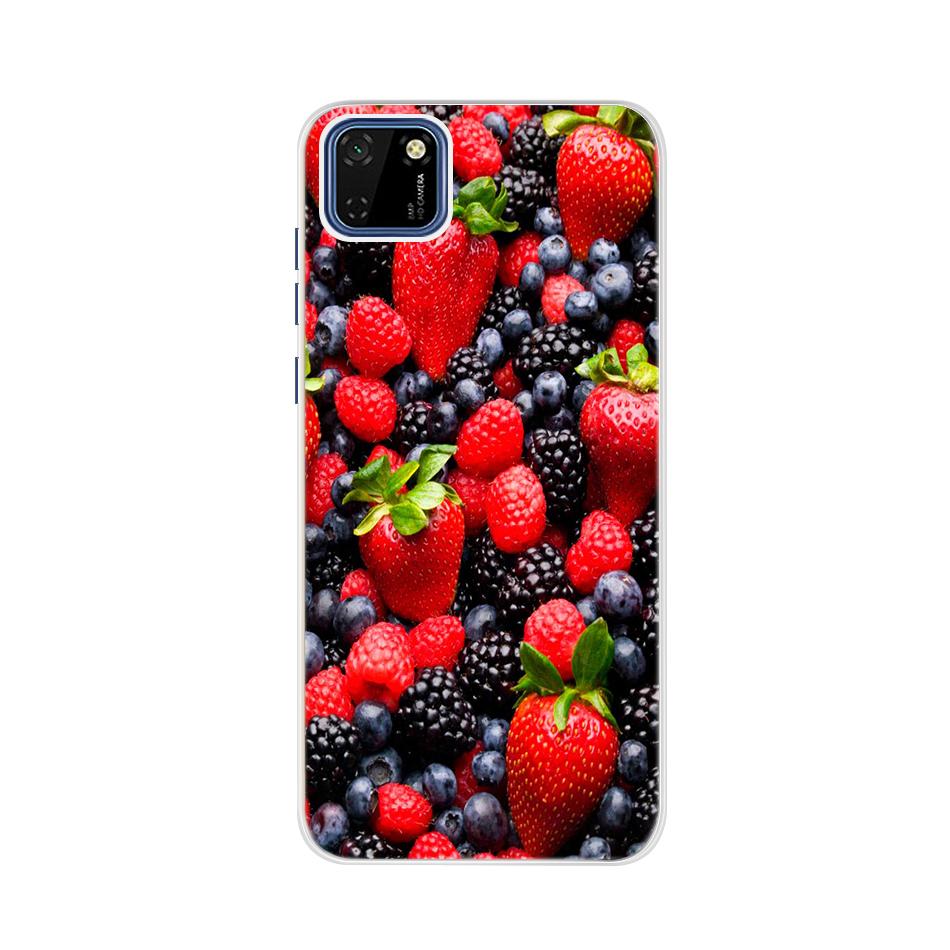 Case For Huawei Honor 9S Case 5.45" Silicon Painted Soft TPU Cover On Honor 9S 9 S S9 DUA-LX9 Phone Back Protective Coque Bumper